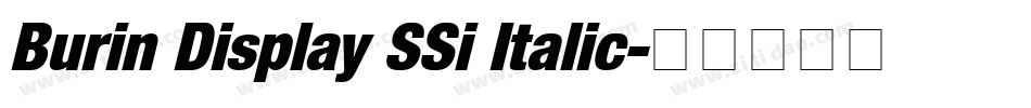 Burin Display SSi Italic字体转换